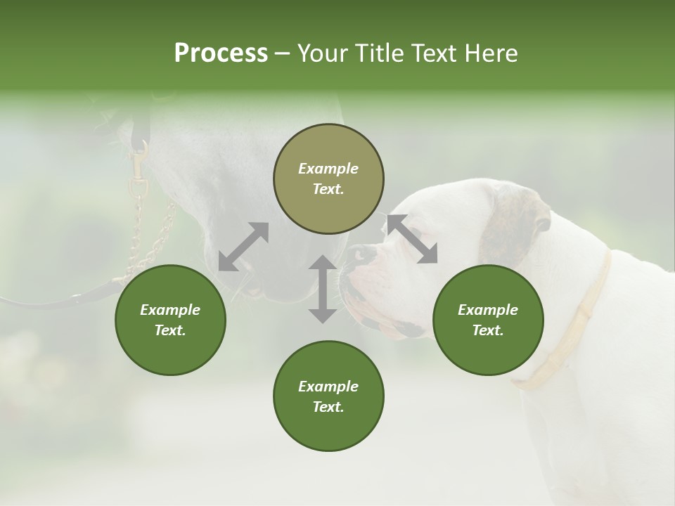 Ocean Single Sunset PowerPoint Template