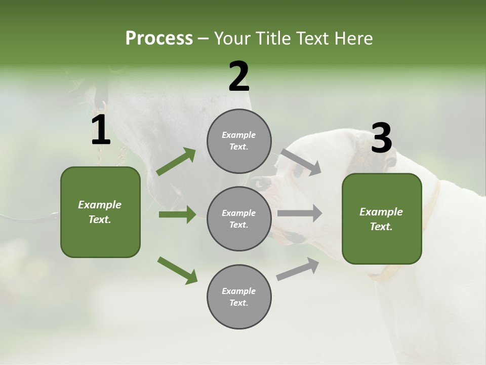 Ocean Single Sunset PowerPoint Template