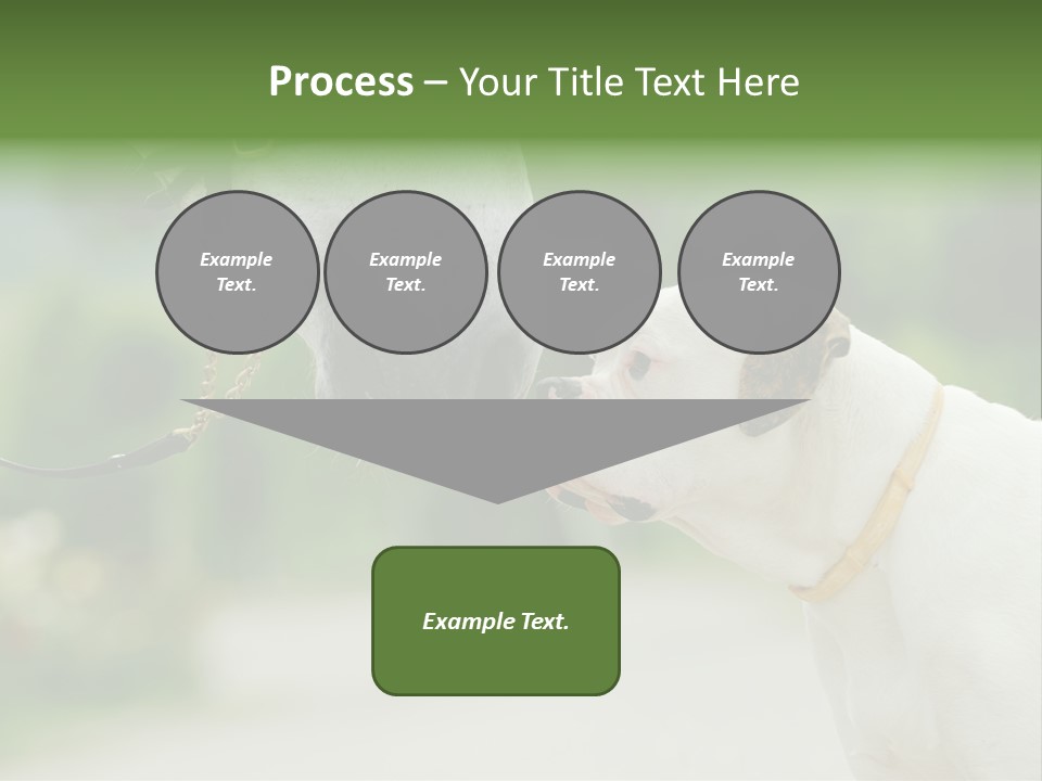 Ocean Single Sunset PowerPoint Template