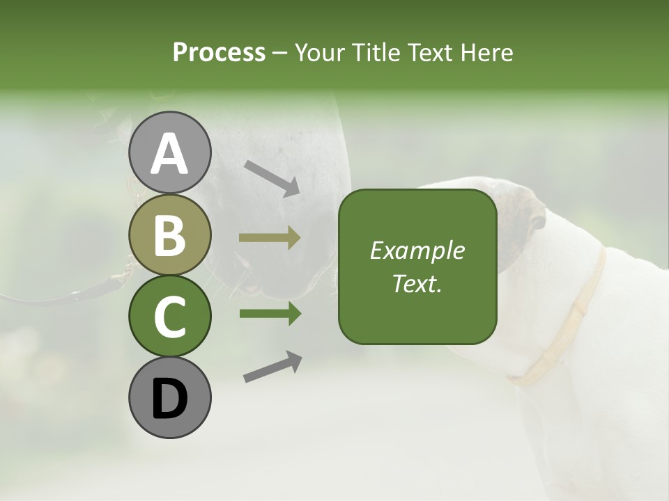 Ocean Single Sunset PowerPoint Template