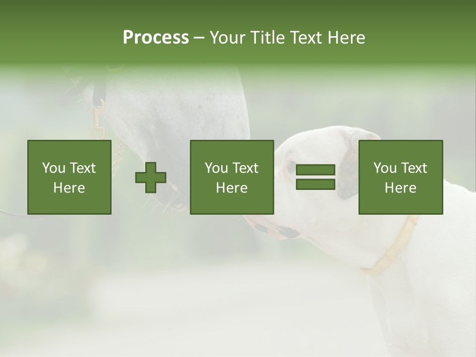 Ocean Single Sunset PowerPoint Template