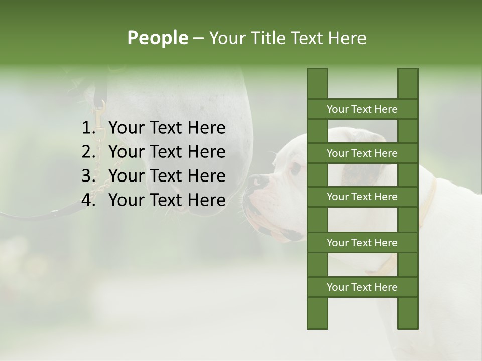 Ocean Single Sunset PowerPoint Template