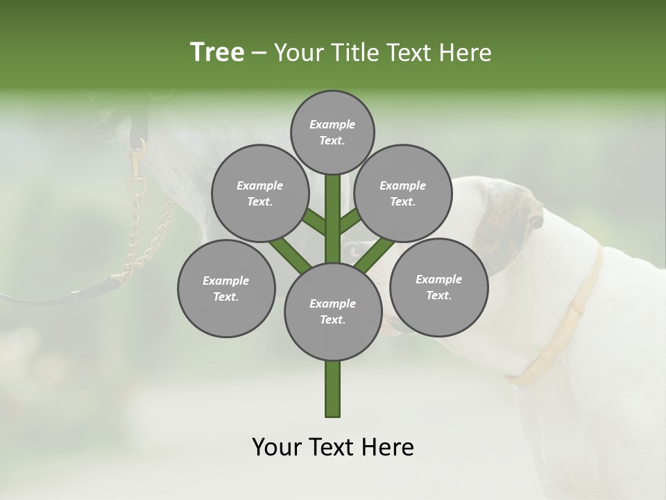 Ocean Single Sunset PowerPoint Template