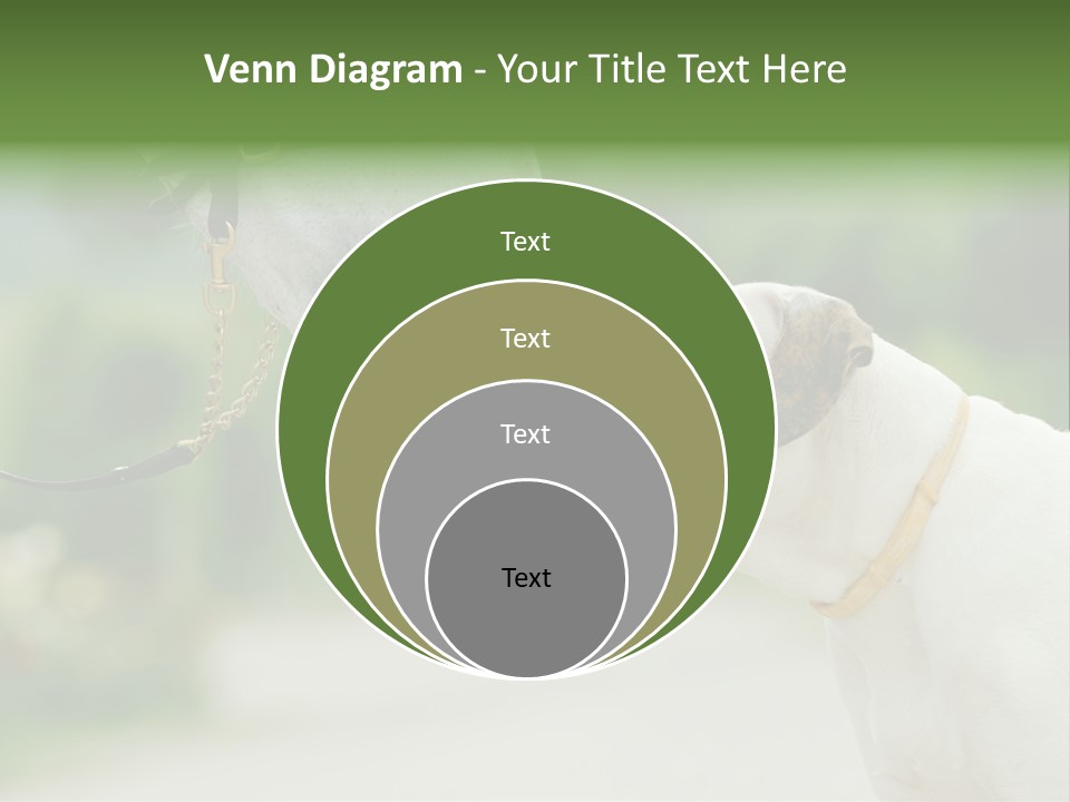 Ocean Single Sunset PowerPoint Template