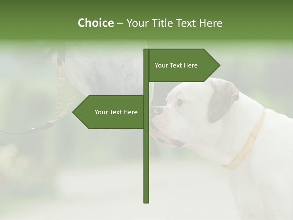 Ocean Single Sunset PowerPoint Template