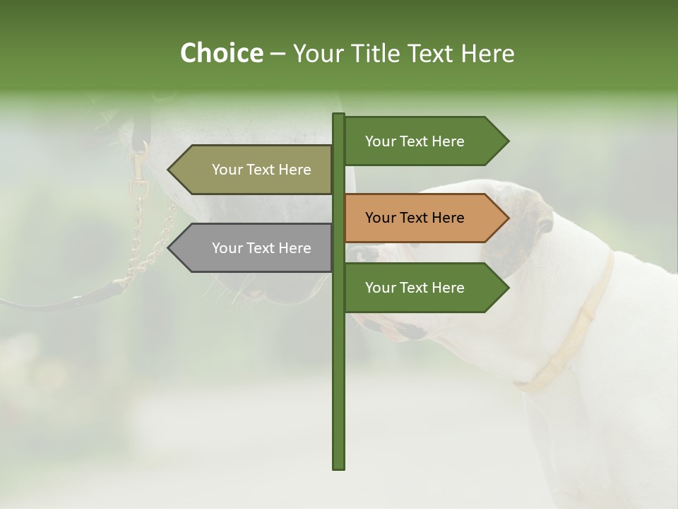 Ocean Single Sunset PowerPoint Template