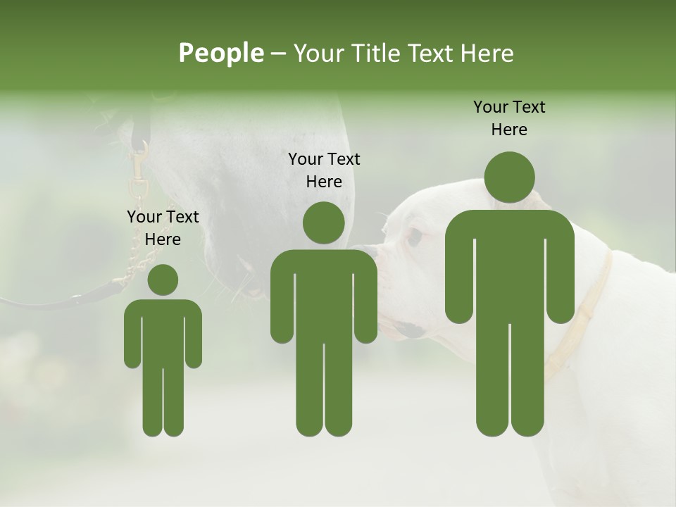 Ocean Single Sunset PowerPoint Template