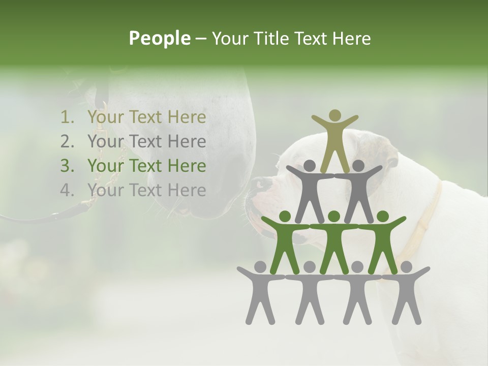 Ocean Single Sunset PowerPoint Template