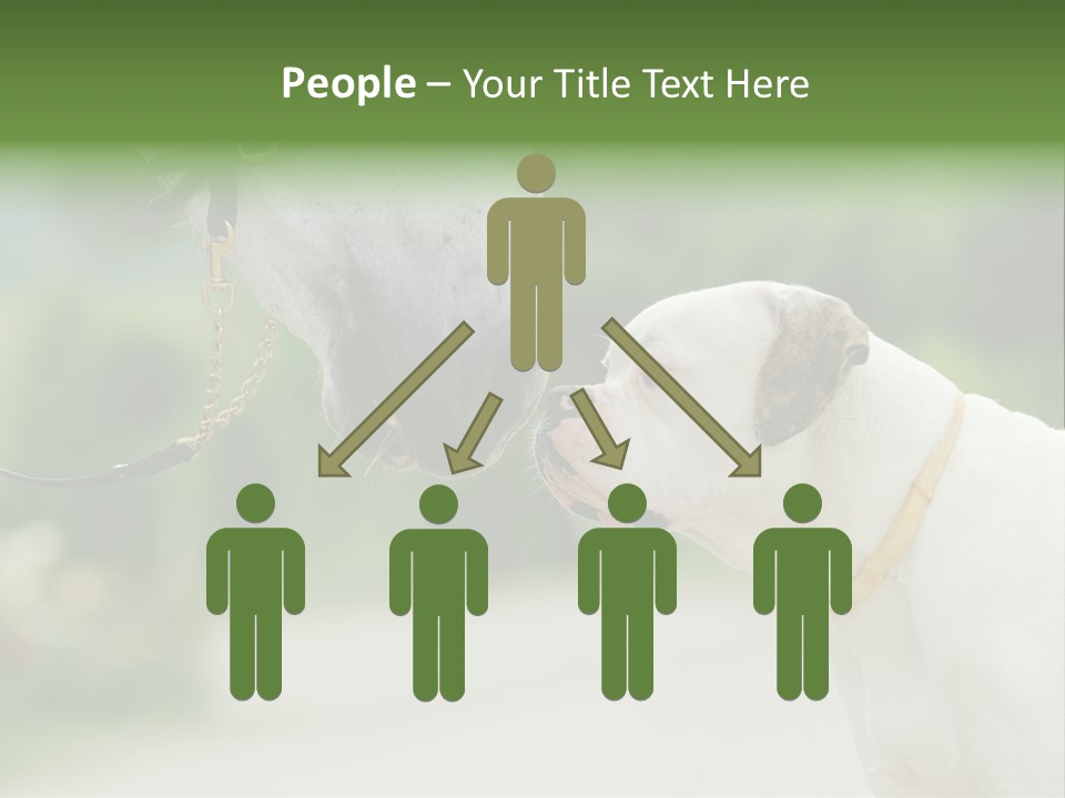 Ocean Single Sunset PowerPoint Template