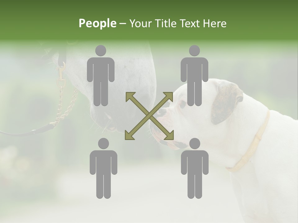 Ocean Single Sunset PowerPoint Template