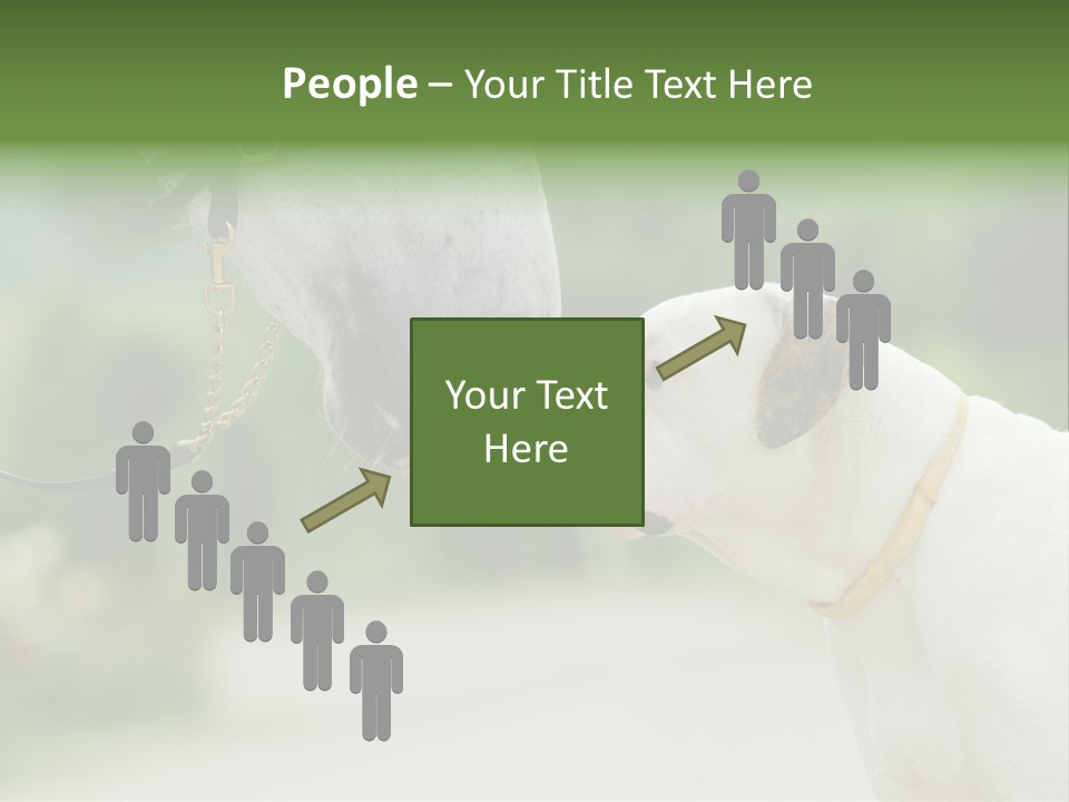 Ocean Single Sunset PowerPoint Template