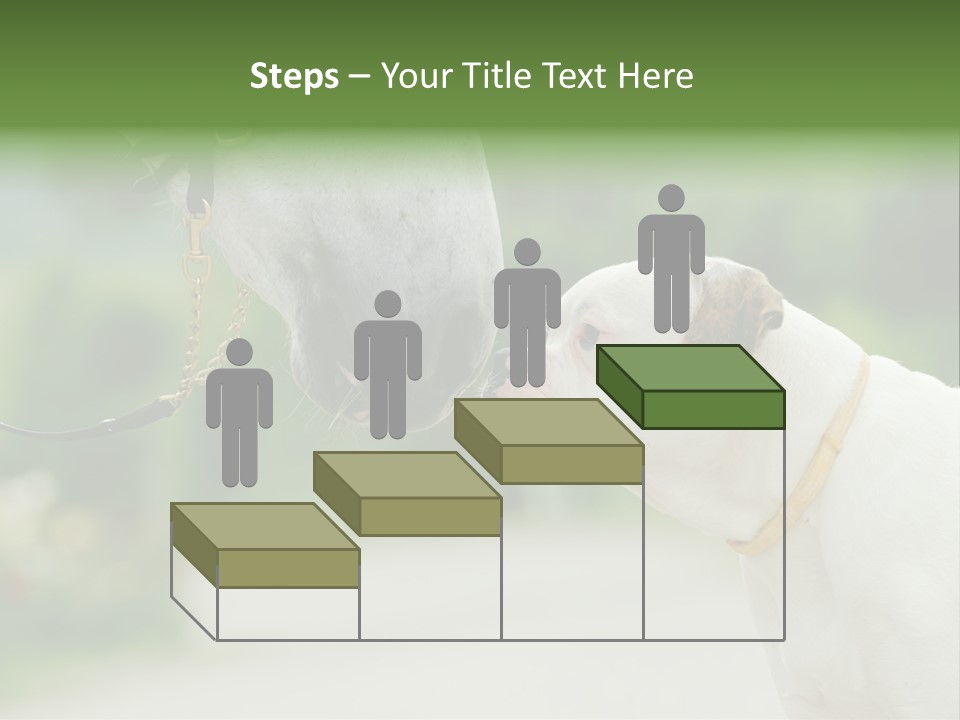 Ocean Single Sunset PowerPoint Template