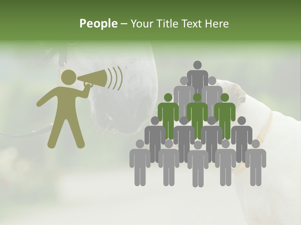 Ocean Single Sunset PowerPoint Template