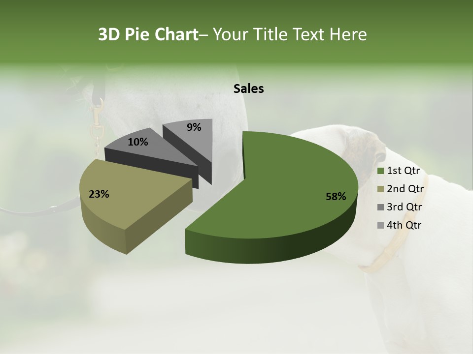 Ocean Single Sunset PowerPoint Template