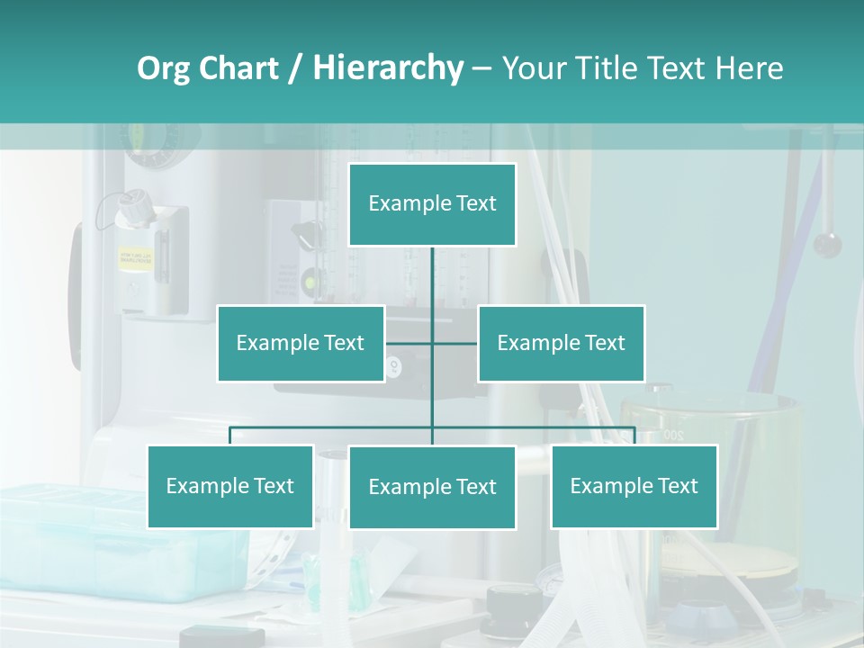Woman Old Elderly PowerPoint Template