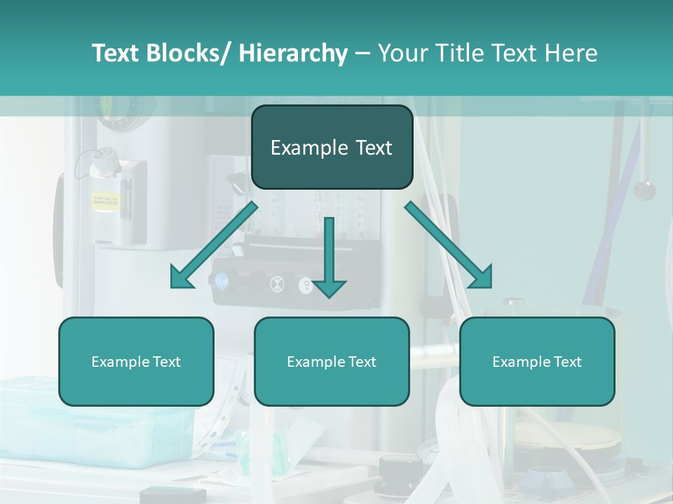 Woman Old Elderly PowerPoint Template