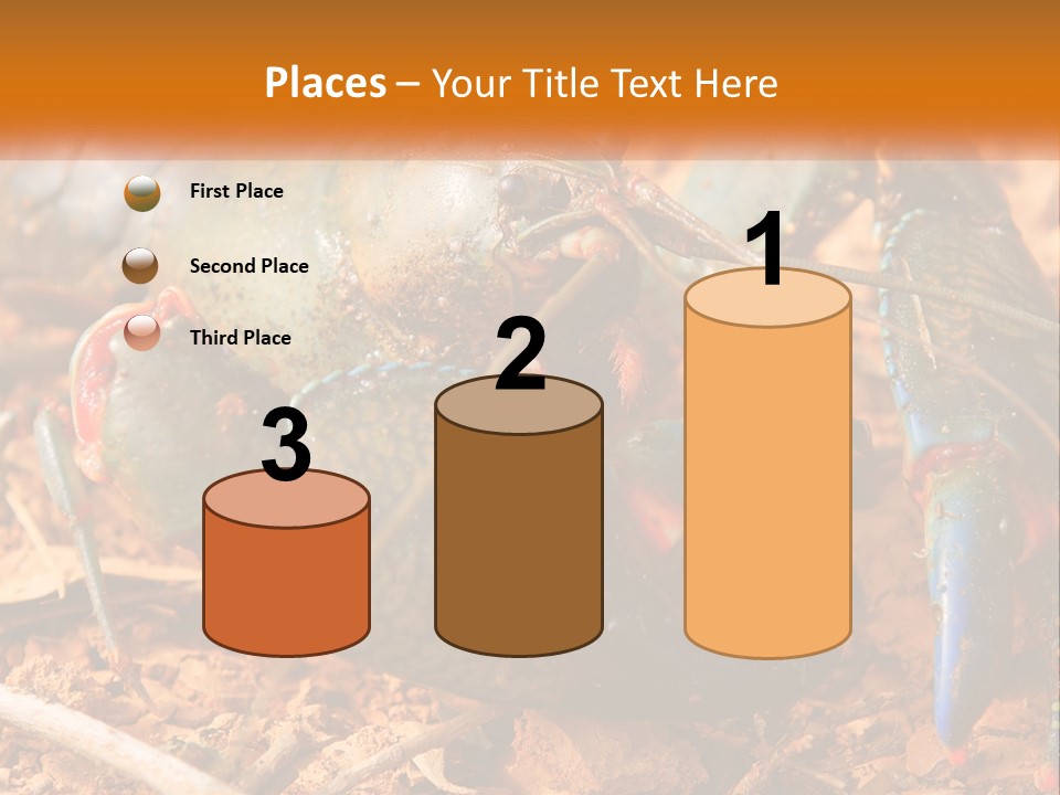 Sand Family Caucasian PowerPoint Template