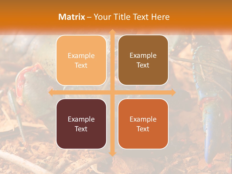 Sand Family Caucasian PowerPoint Template