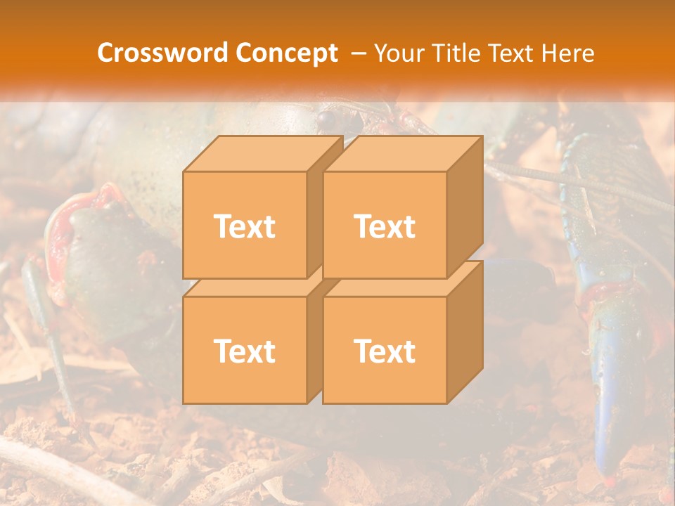 Sand Family Caucasian PowerPoint Template