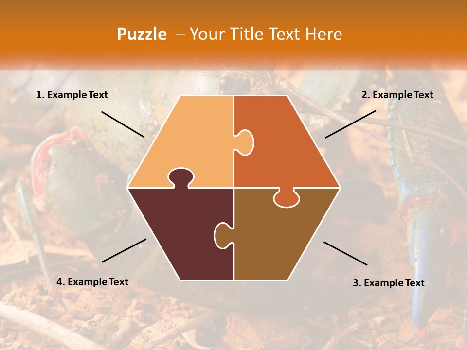 Sand Family Caucasian PowerPoint Template