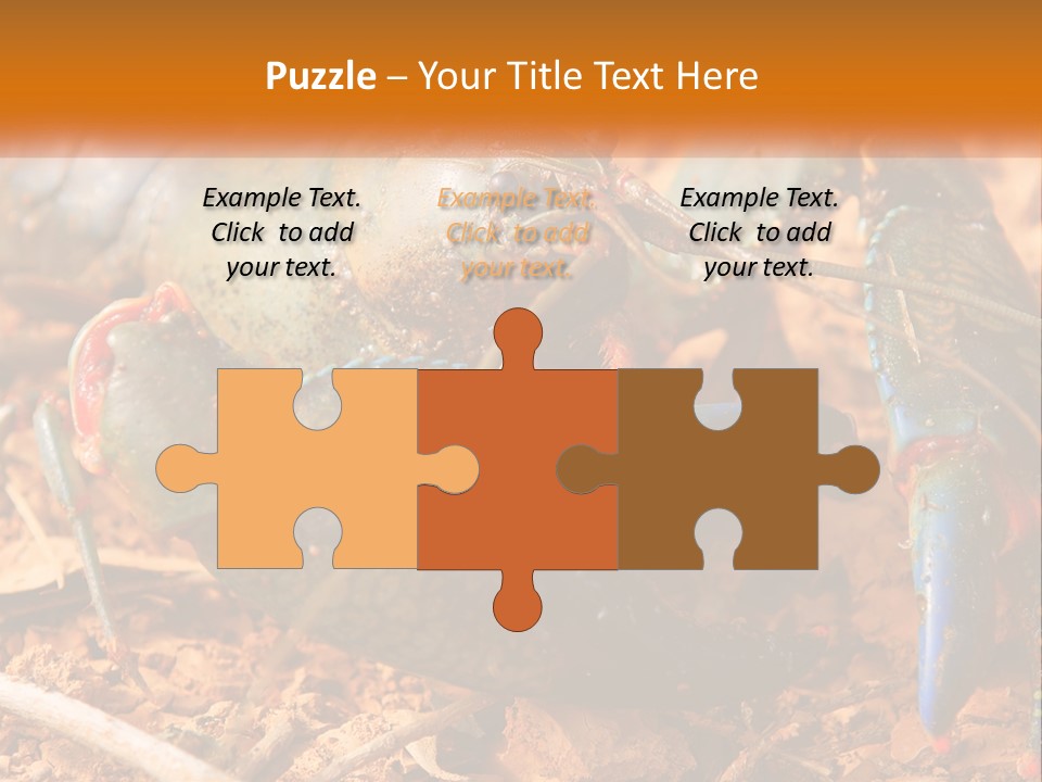 Sand Family Caucasian PowerPoint Template