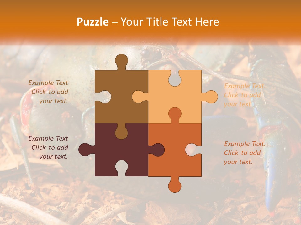 Sand Family Caucasian PowerPoint Template