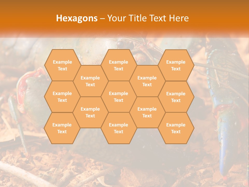 Sand Family Caucasian PowerPoint Template