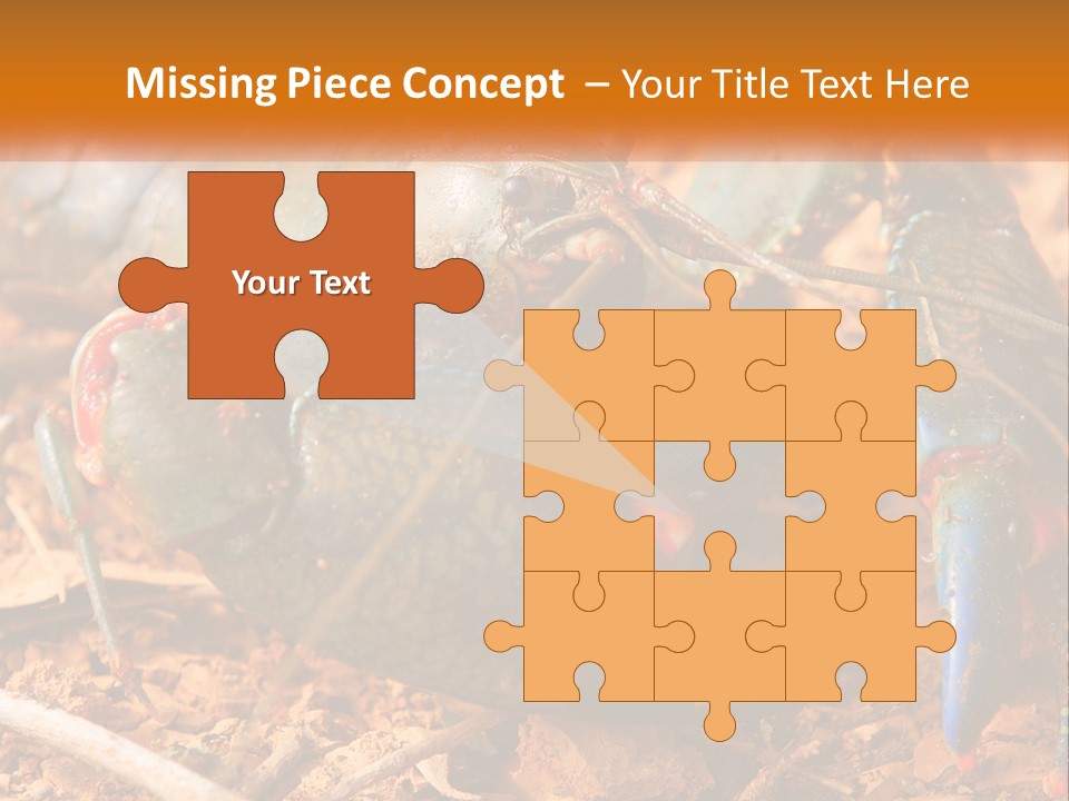 Sand Family Caucasian PowerPoint Template