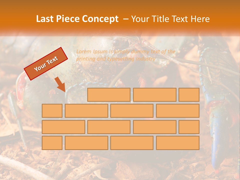 Sand Family Caucasian PowerPoint Template