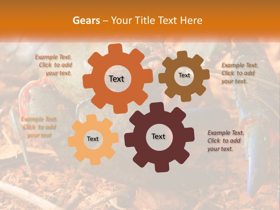 Sand Family Caucasian PowerPoint Template