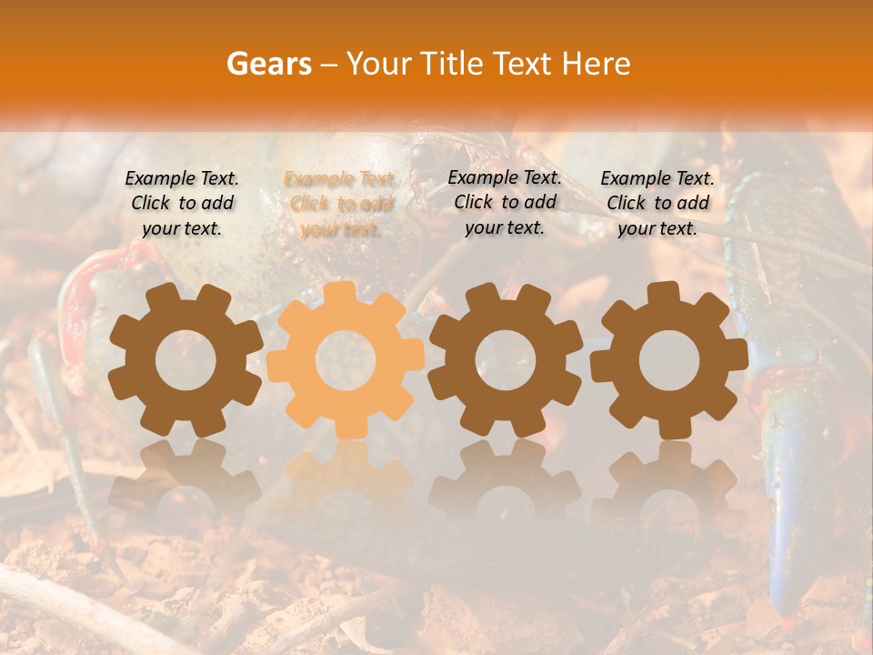 Sand Family Caucasian PowerPoint Template