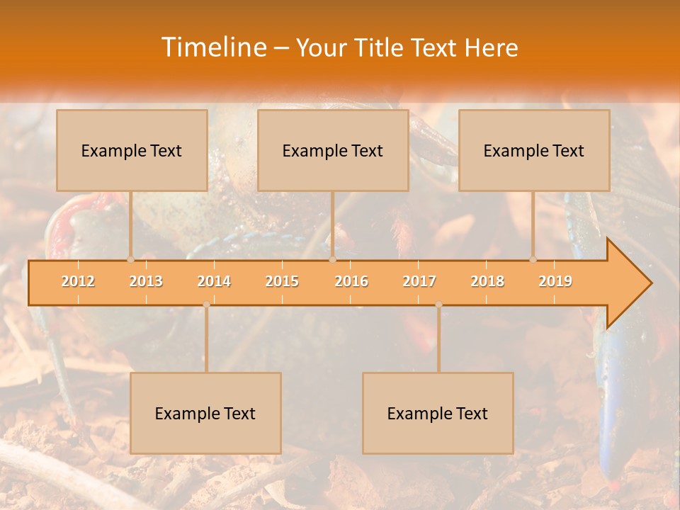 Sand Family Caucasian PowerPoint Template