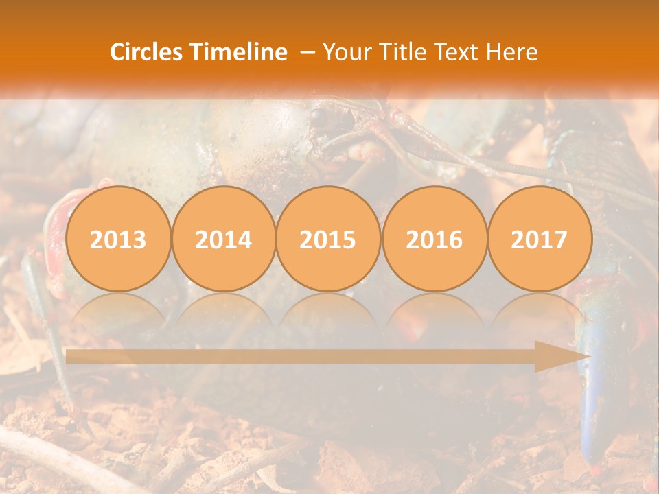 Sand Family Caucasian PowerPoint Template