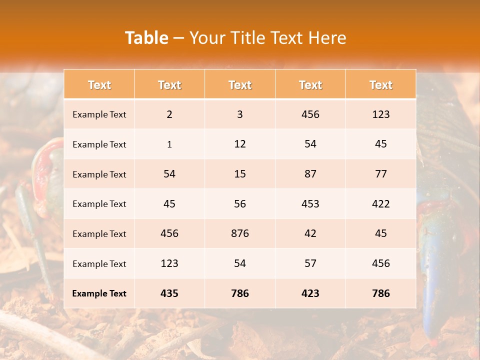 Sand Family Caucasian PowerPoint Template