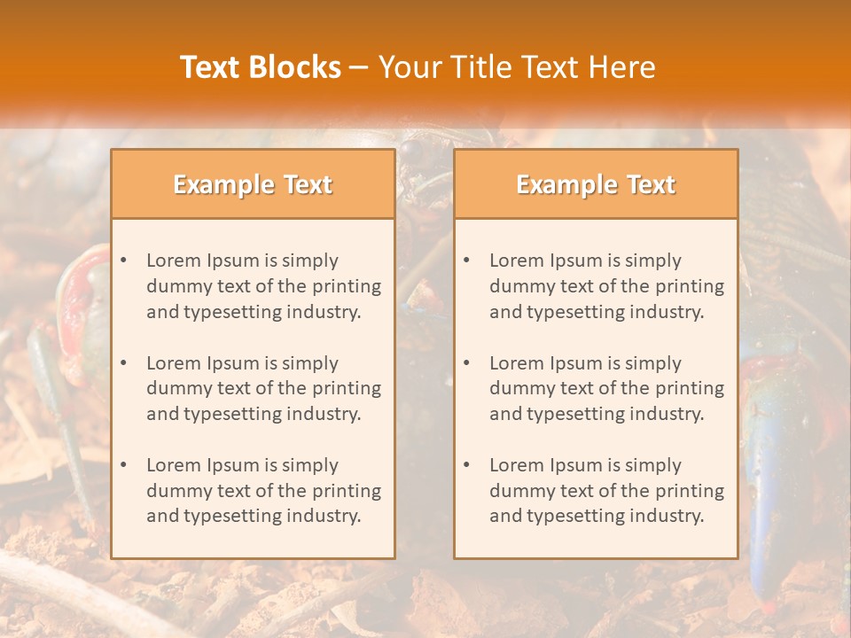 Sand Family Caucasian PowerPoint Template