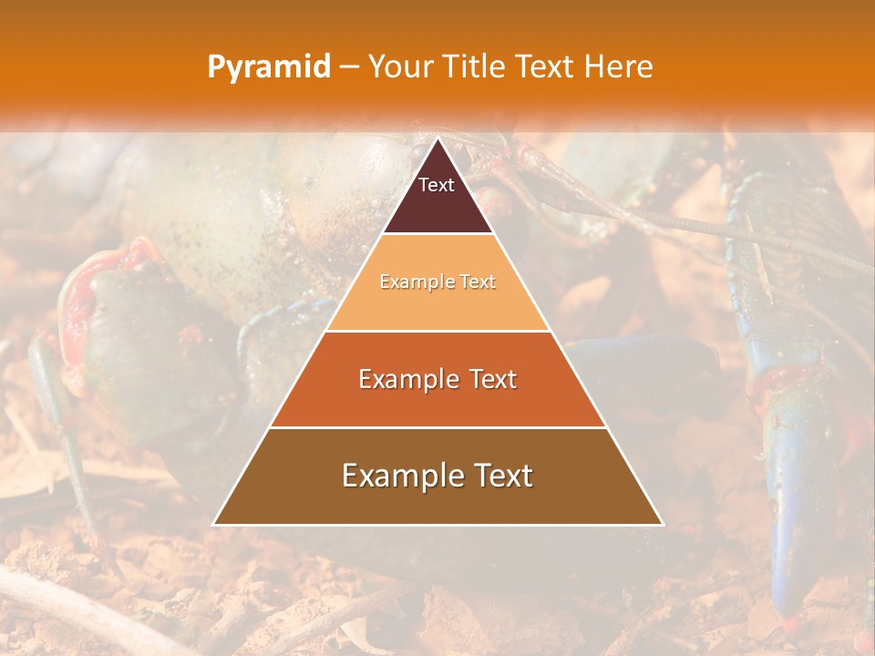 Sand Family Caucasian PowerPoint Template