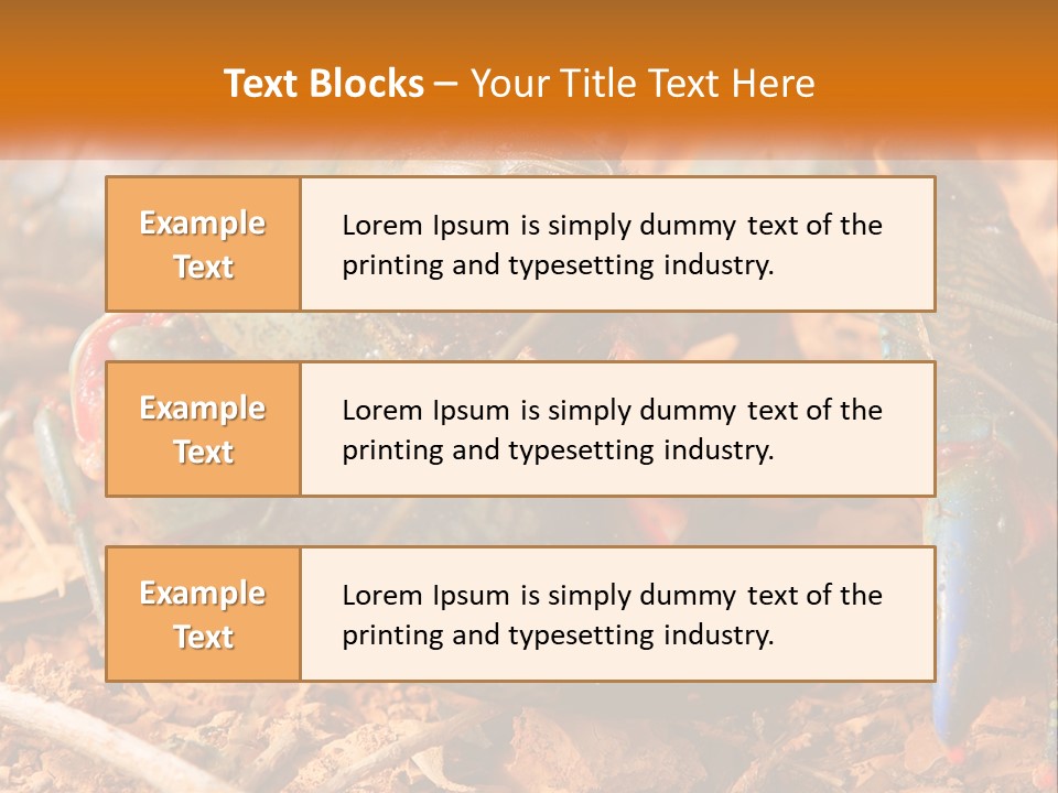 Sand Family Caucasian PowerPoint Template
