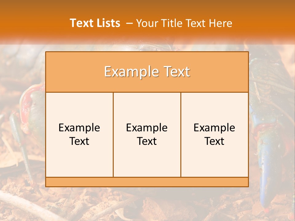 Sand Family Caucasian PowerPoint Template