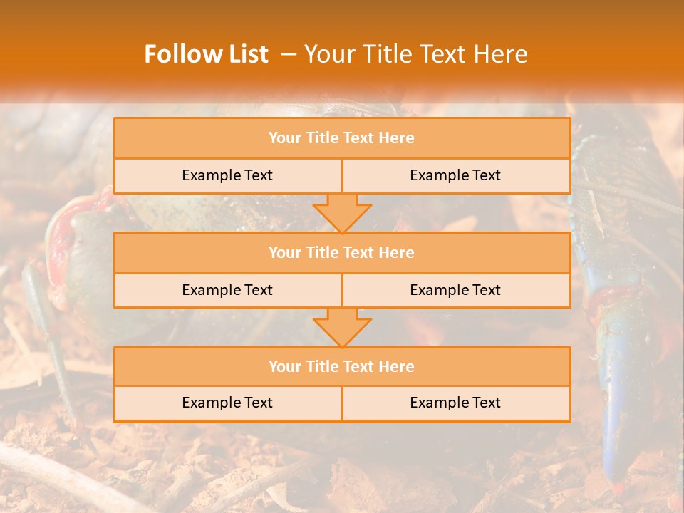 Sand Family Caucasian PowerPoint Template