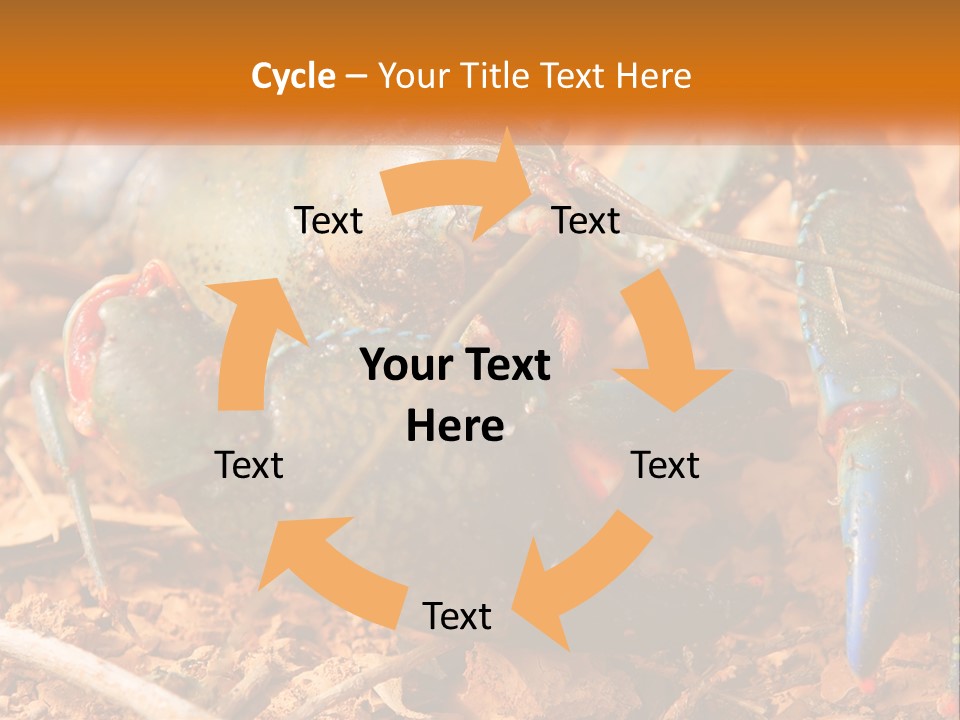 Sand Family Caucasian PowerPoint Template