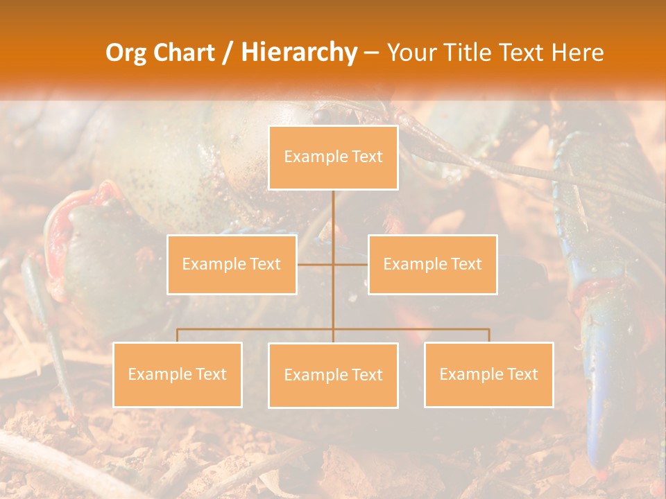 Sand Family Caucasian PowerPoint Template