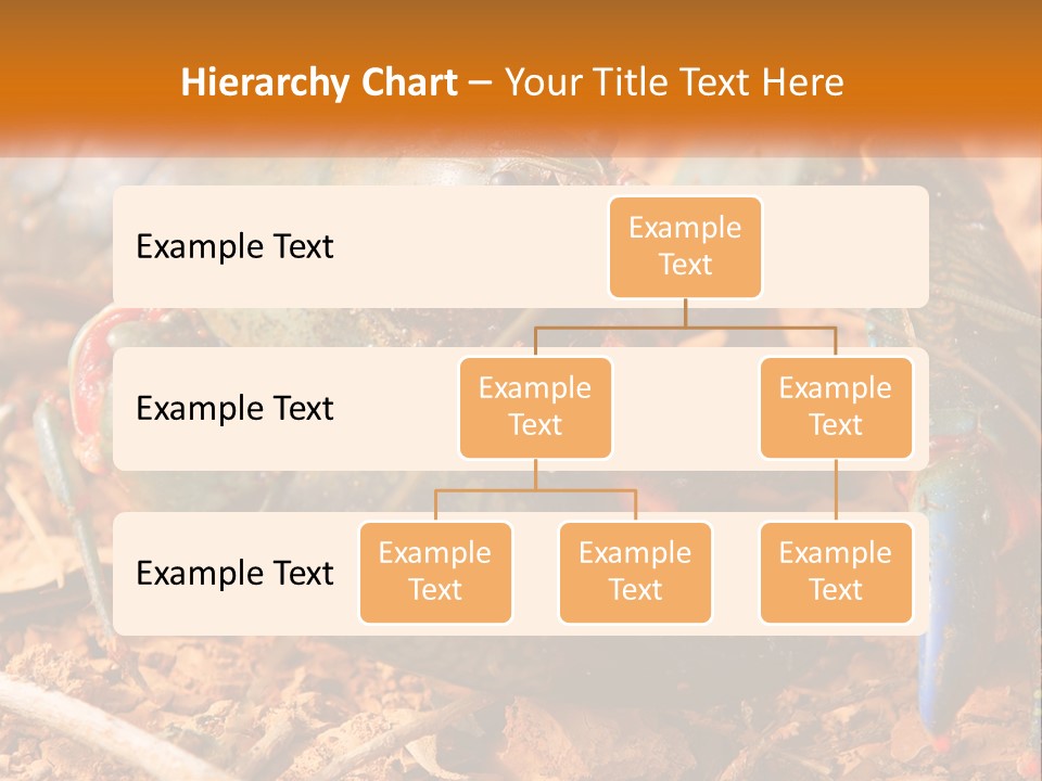 Sand Family Caucasian PowerPoint Template