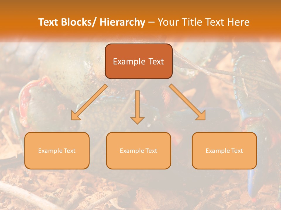 Sand Family Caucasian PowerPoint Template