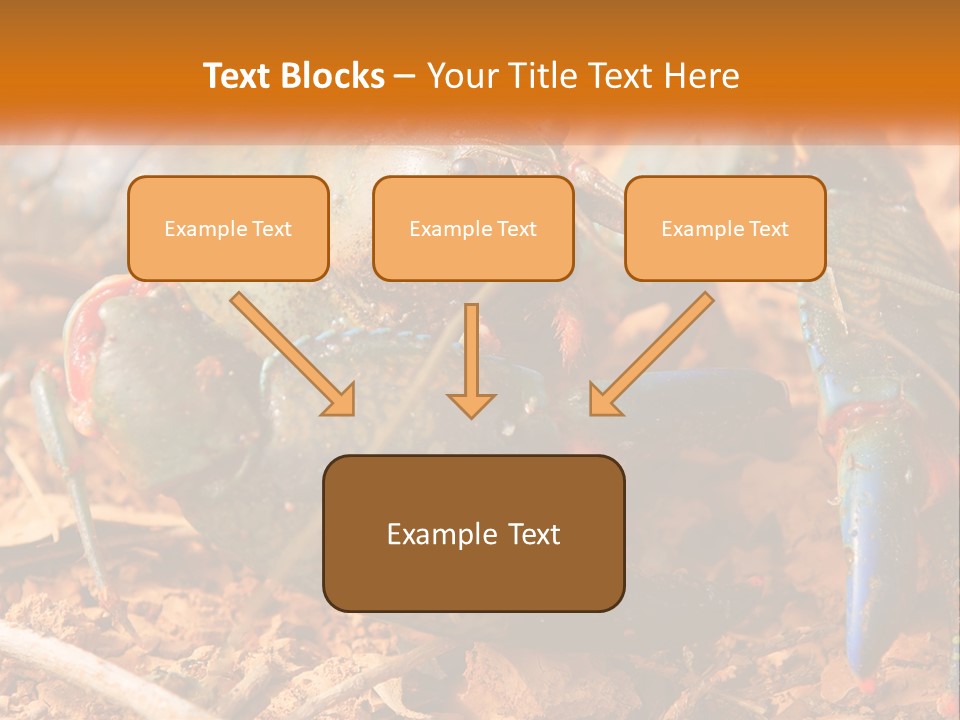 Sand Family Caucasian PowerPoint Template