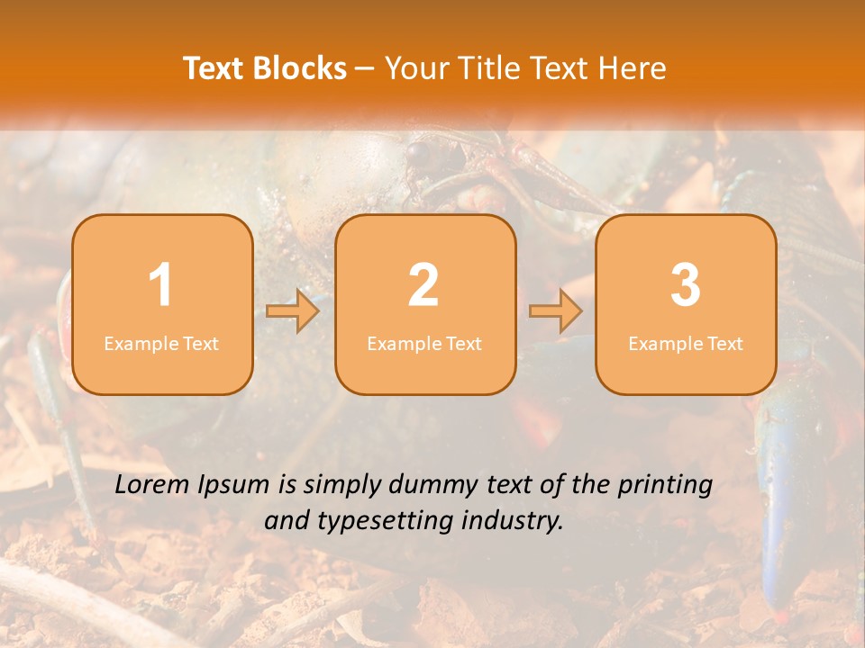 Sand Family Caucasian PowerPoint Template