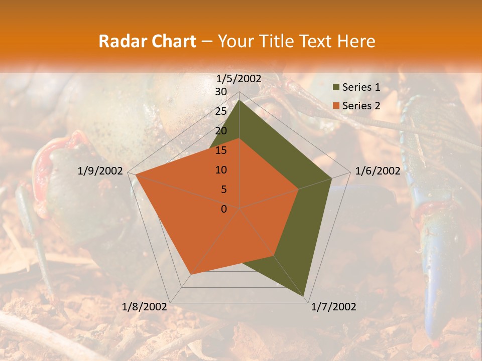 Sand Family Caucasian PowerPoint Template