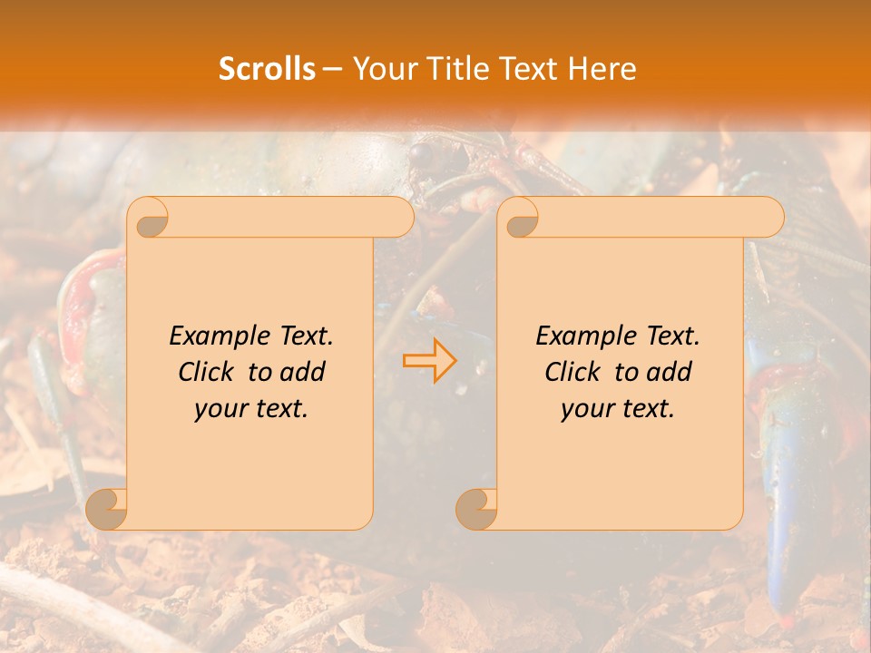 Sand Family Caucasian PowerPoint Template