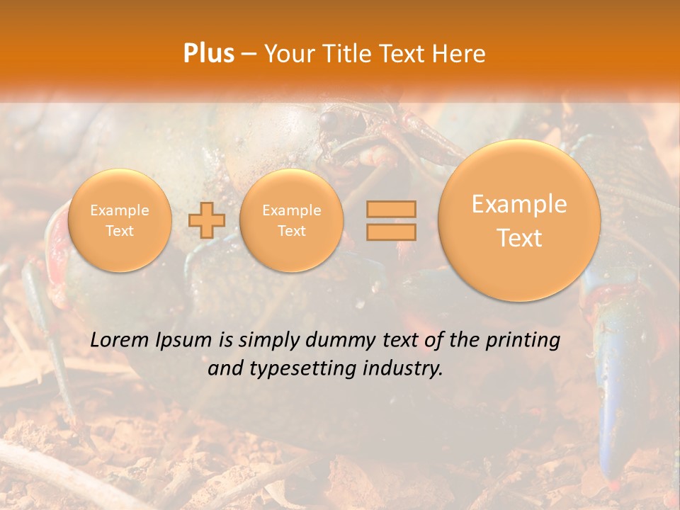 Sand Family Caucasian PowerPoint Template