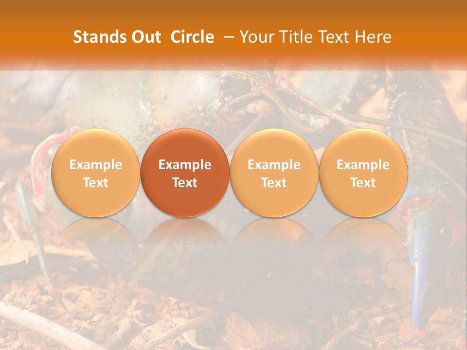 Sand Family Caucasian PowerPoint Template