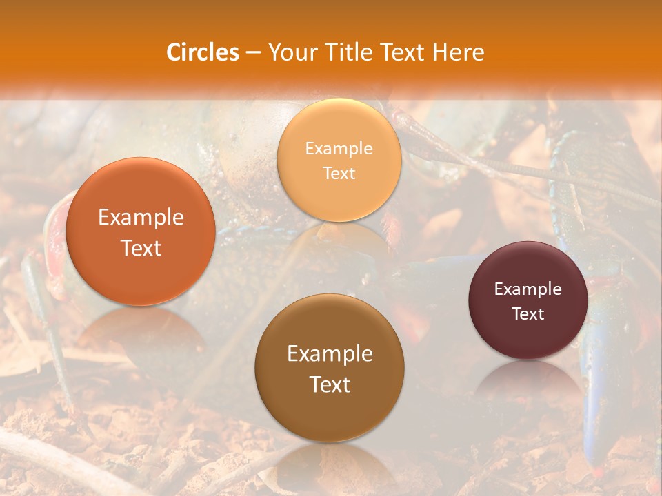 Sand Family Caucasian PowerPoint Template